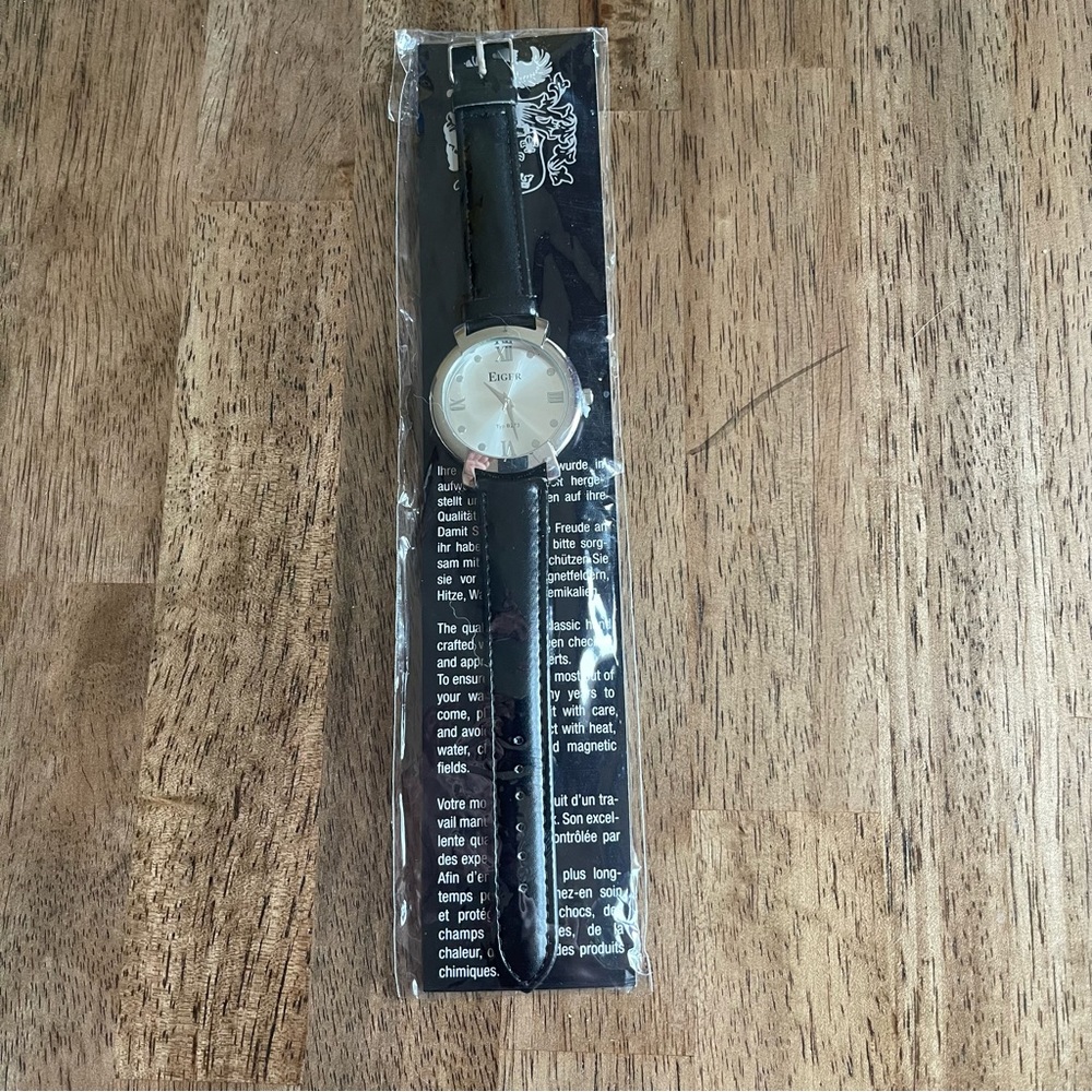 Eiger B273 Minimalist Steel Bezel Wrist Watch